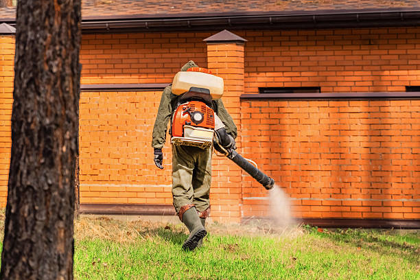 Trusted Ant Control service in McAdenville, NC - Nex Pest Control